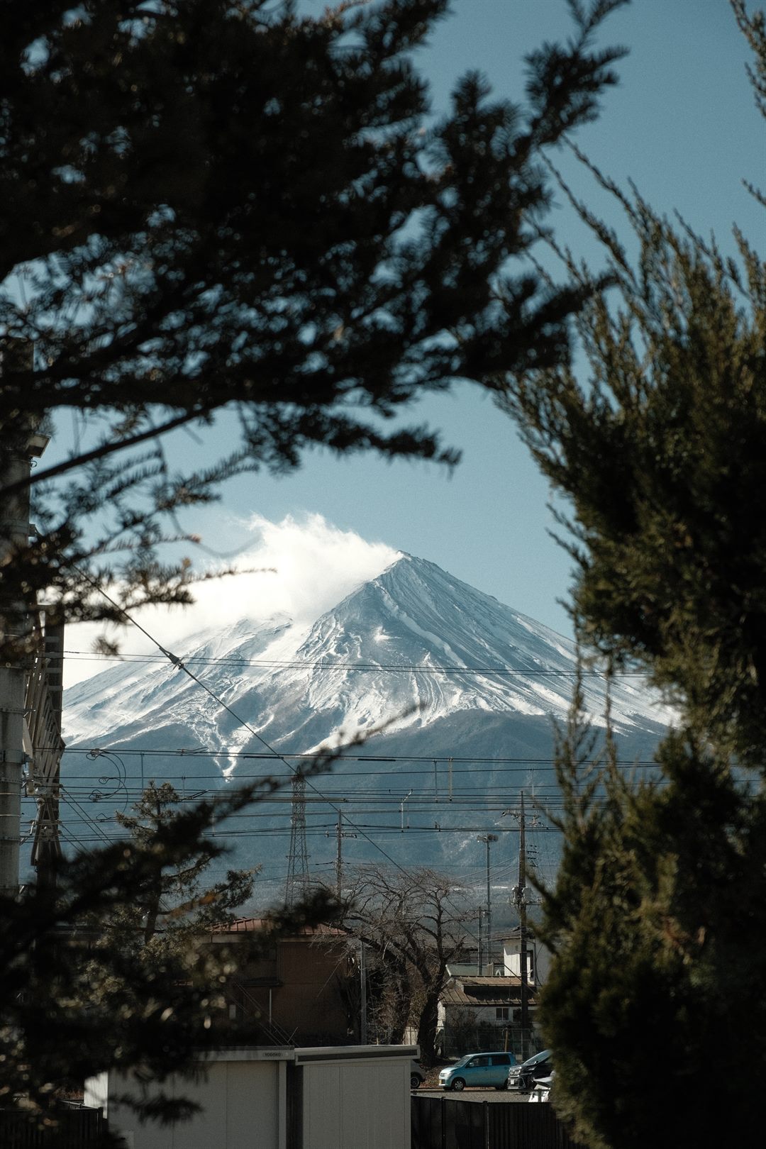 Mount Fuji framed by dark pine branches above rooftops and power lines