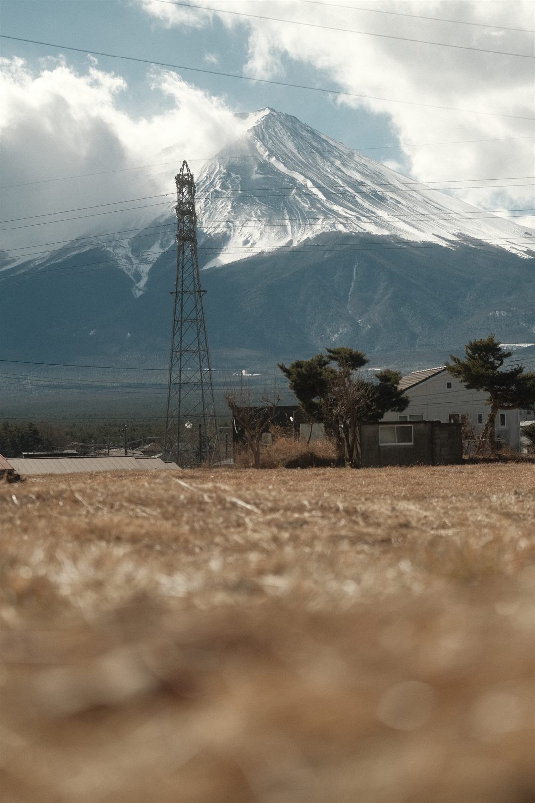 Mount Fuji behind an electricity pylon, dry grass blurred across the foreground