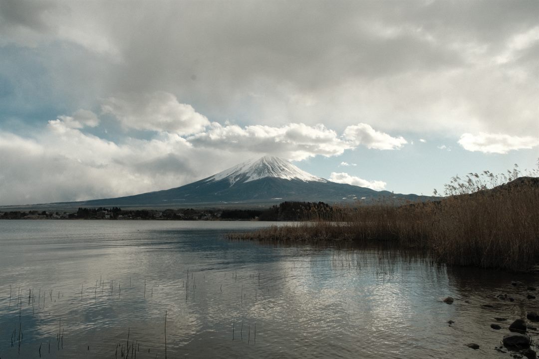 Mount Fuji across a still lake, dry reeds along the near shore