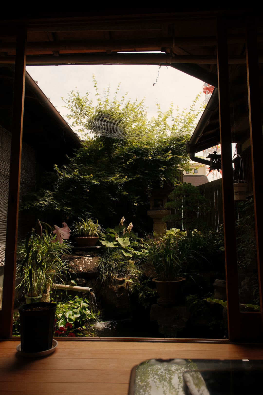 A tatami room opening onto a small green courtyard garden