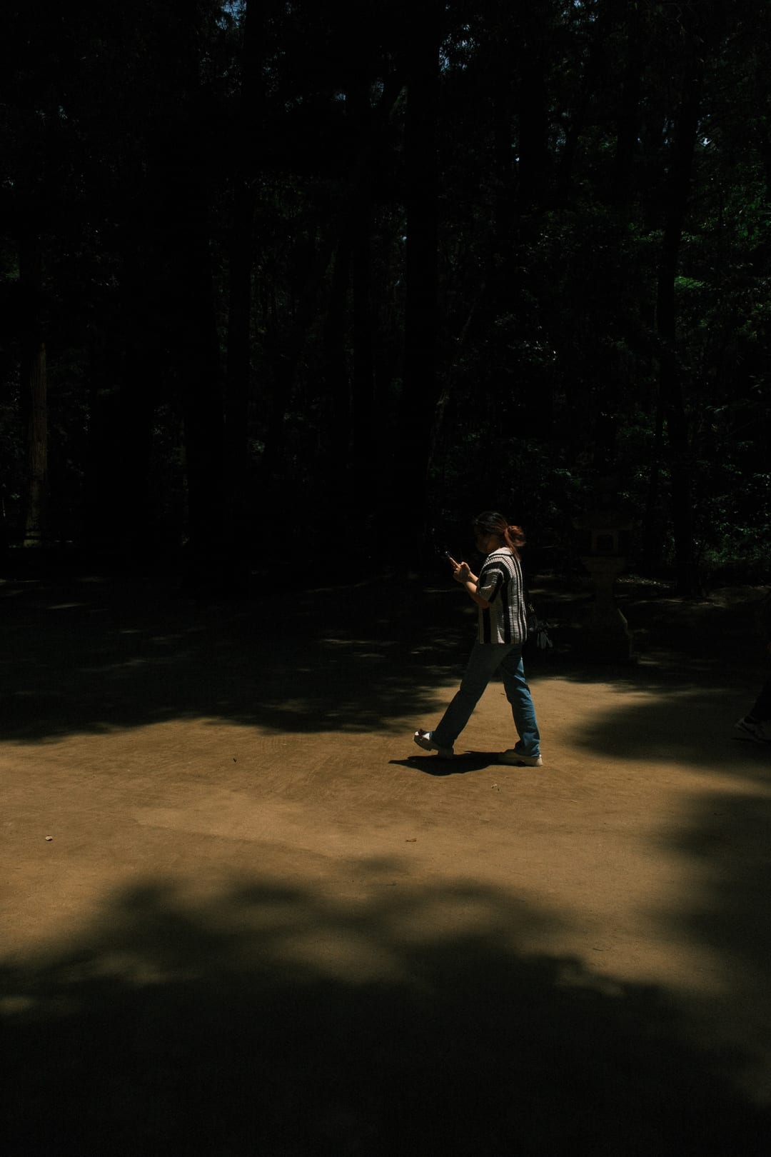 A man walking through a shaft of light in the shrine's forest court