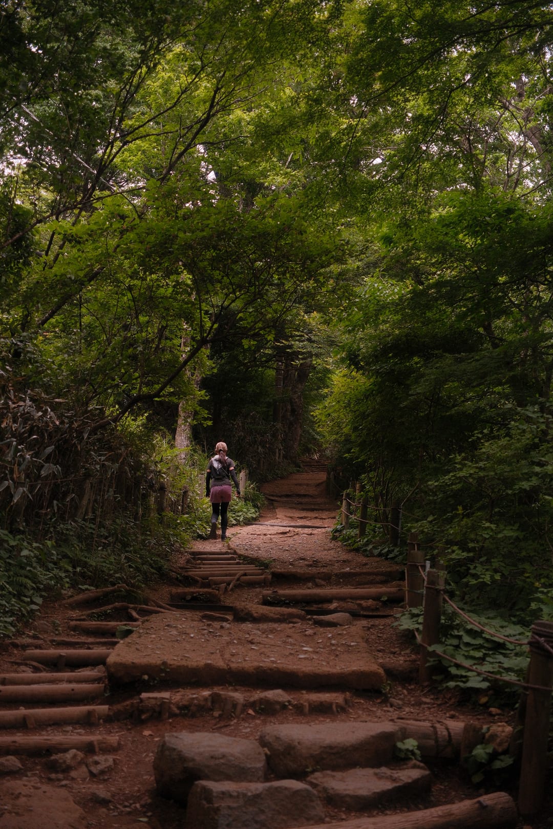 A hiker climbing stone steps under a canopy of green