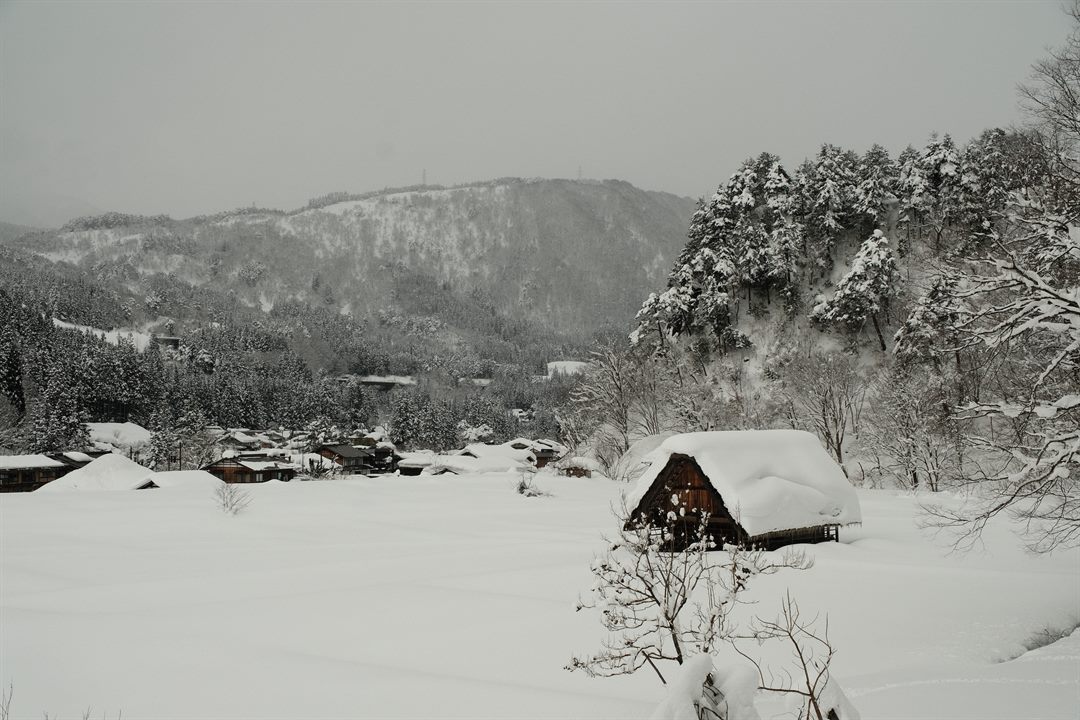 A snow-covered valley of steep thatched roofs with forested hills behind