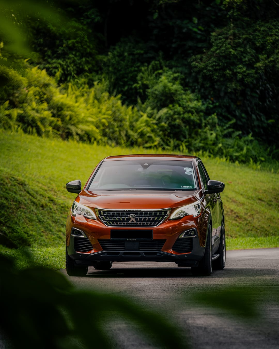 An orange Peugeot 3008 head on, on a road banked by dense green foliage